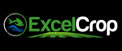 Excel Crop